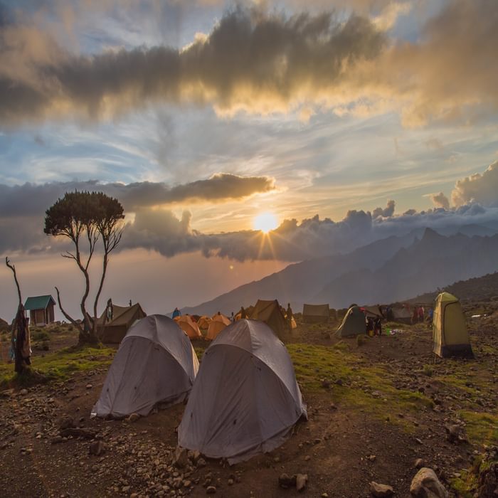 104 Camp On The Shira Plateau By Potifor And Shutterstock