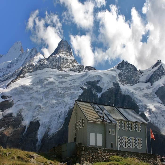 The Gleckstein Hut And The Schreckhorn