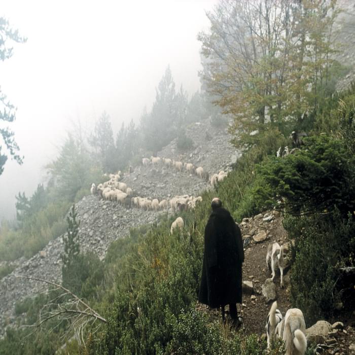 009 Smolikas: Flocks In The Mist