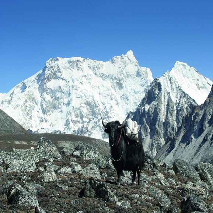 Gangkar Punsum Seen From Near Gophu La Photo Ugyen Peljor Tshering