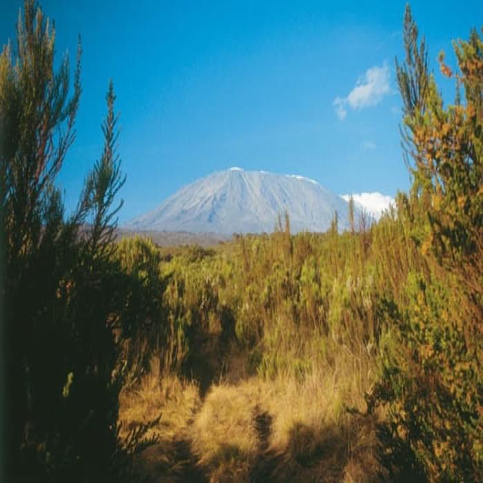 082 The Distant View Of Kibo Here Seen Across The Heathmoorland Is The Ultimate Goal For Trekkers On Kili