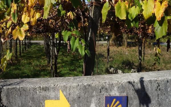 Waymarking on the Camino Portugues