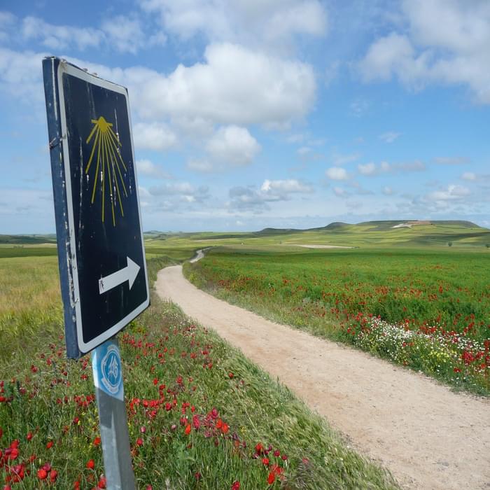Lonely signs like this point the way along the Camino de Santiago pilgrimage trail. (Camino Frances of the Camino de Santiago)