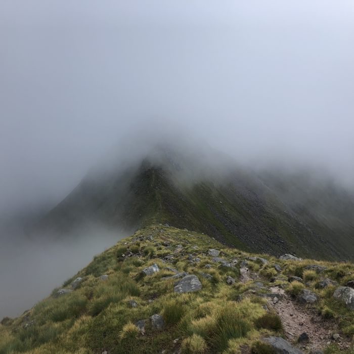 Misty Mamores