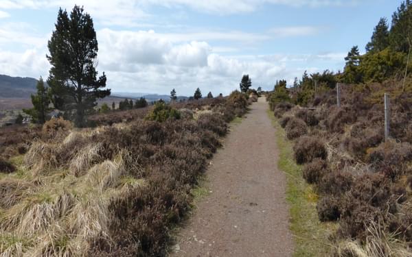 Quiet paths on moorland heading to Inverness