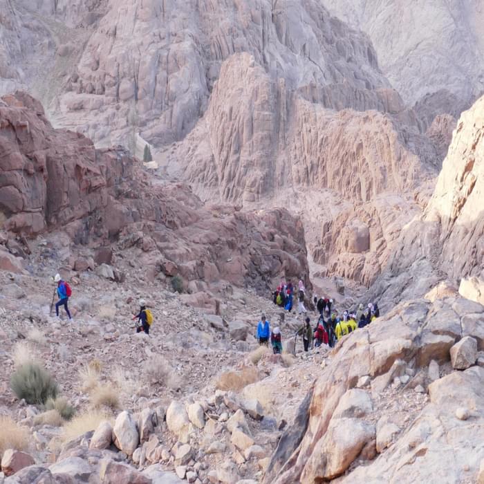1000S Of Pilgrims Ascend Mt Sinai Every Day