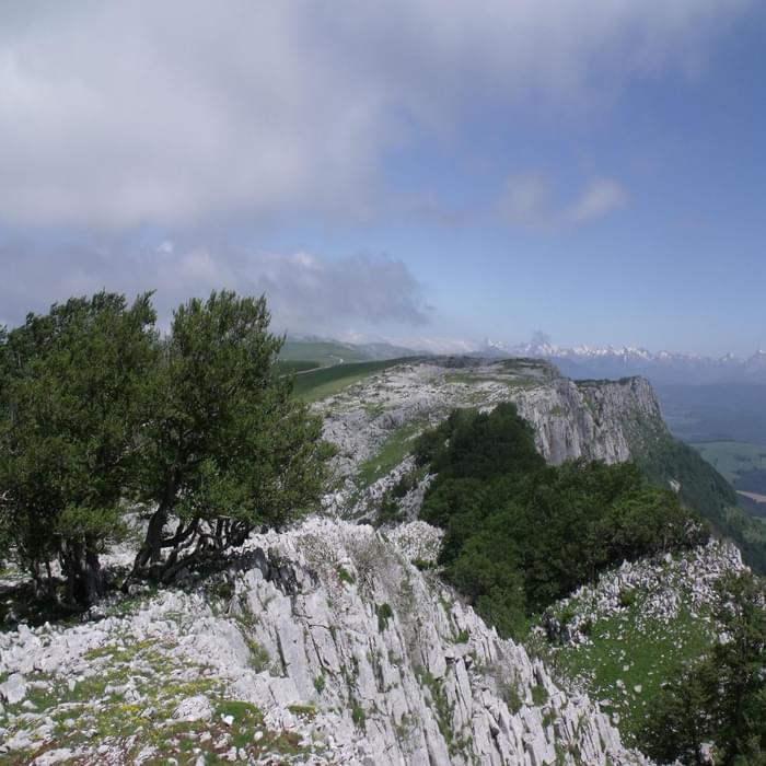 Limestone outcrops, Sierra de Abodi in the Basque Country
