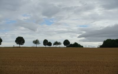 Fields, trees and big sky near Rosières-en-Haye (Lorraine)