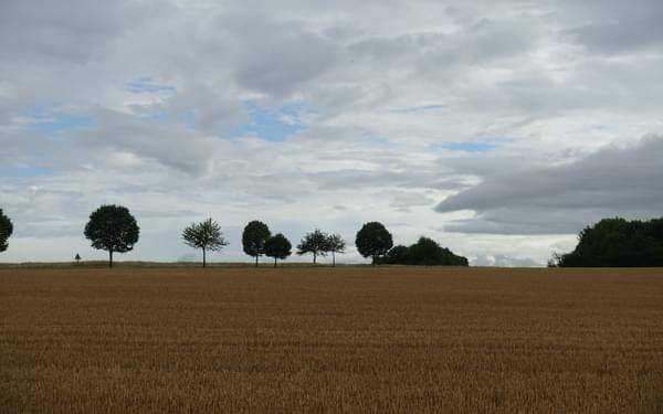 Fields, trees and big sky near Rosières-en-Haye (Lorraine)