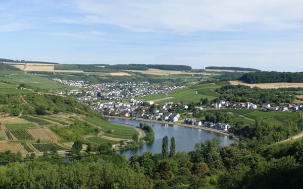 Vineyards around Machtum (Luxembourg)