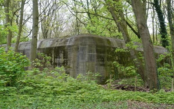 German bunker near Hoek van Holland; now a bat sanctuary