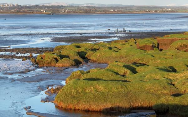 Walk5C Evening Light On The Salt Marsh And Mud Flats Near Bowness On Solway