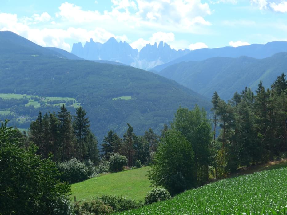 Distant views of the Puez-Odle Dolomites range from the Keschtnweg
