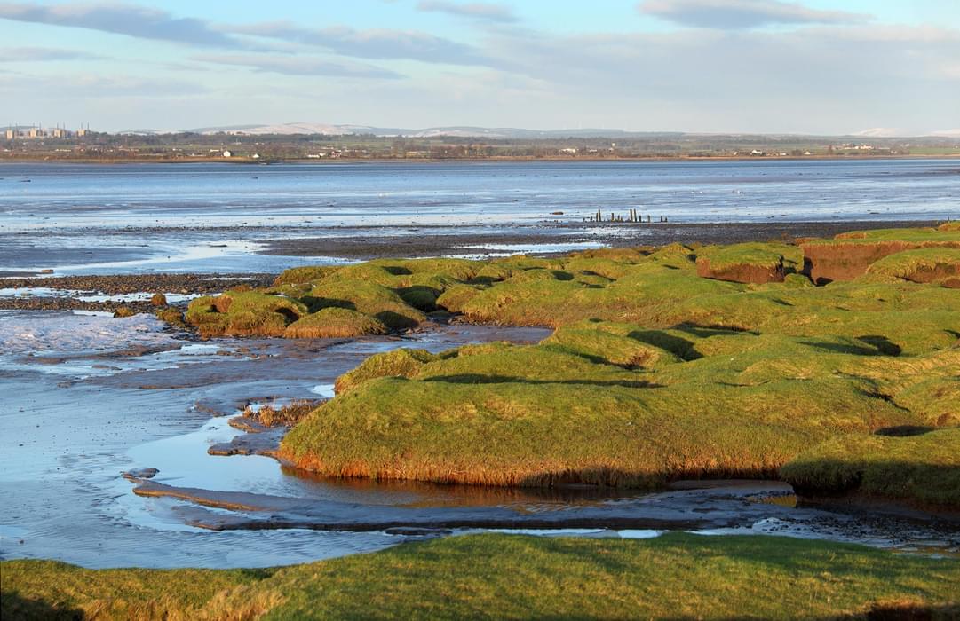 Pic4 The Salt Marshes And Mud Flats Of The Solway Firth