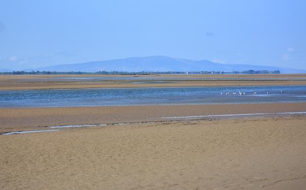 Pic5 From The Rockcliffe Marshes Looking Across The Channel Of The River Eden To Criffel In Dumfries Galloway