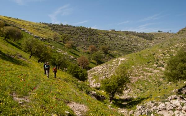 Springtime in north Jordan, exploring the route for the Jordan Trail through Wadi abu Salih.