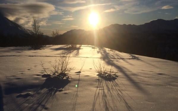 Mid-winter afternoon sun over the Telemark, north of Rjukan on the Hardangervidda plateau.