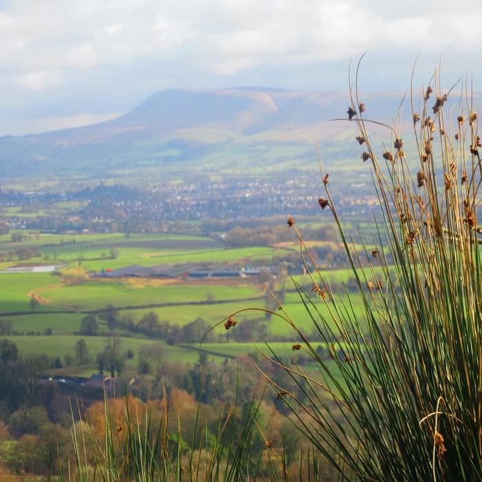 Pendle Hill and the Ribble Valley from Longridge Fell