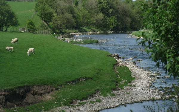 The River Ribble near Edisford - along the Ribble Way