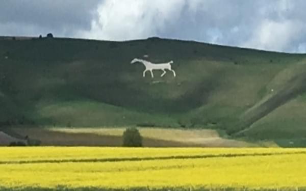 One of the White horses of Pewsey Vale