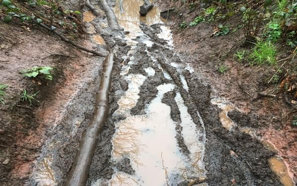 The Staffordshire Way: mud, mud and more mud