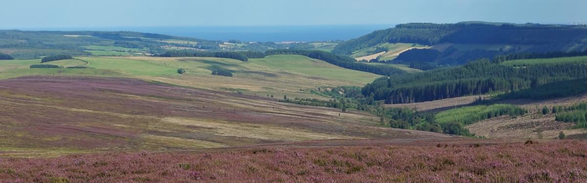 Purple heather moorlands give way to green fields and the coast