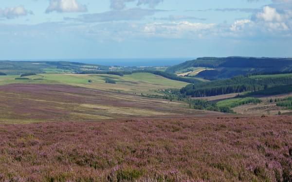 Purple heather moorlands give way to green fields and the coast