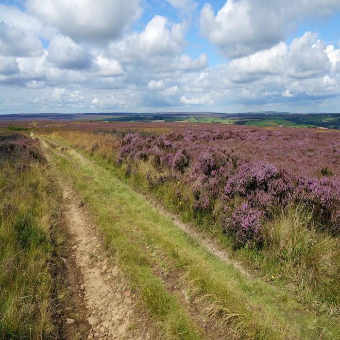 Some open moorlands are easily crossed by following long tracks