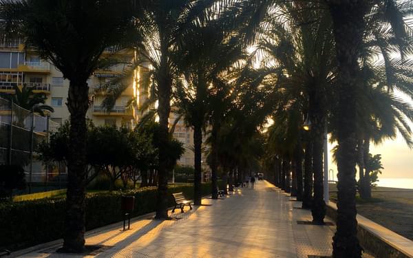 Palm lined promenade east of Malaga