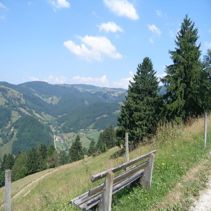 001 The Black Forest is a patchwork of forest and open farmland covering the soft contours of mountains. There is always a convenient bench to pause and take in the beautiful views. View of Münstertal (Southern Black Forest)