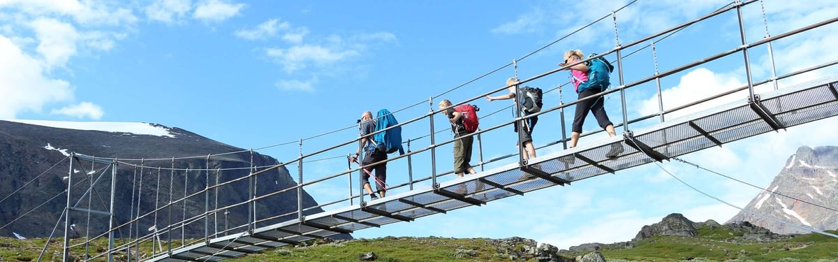 Typical suspension bridge on the Kungsleden trail