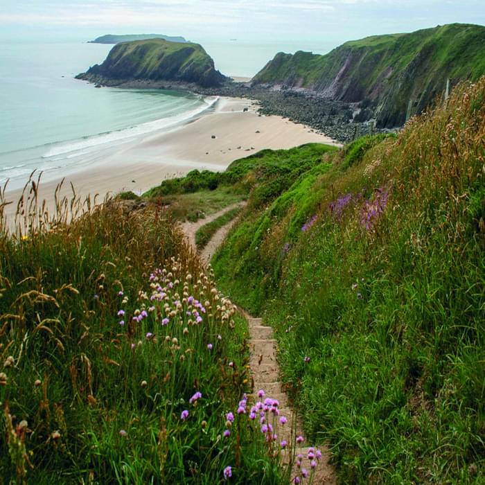 The Path Down To Marloes Sands