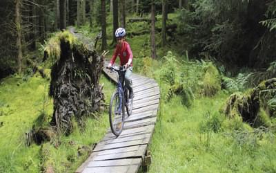 Lake District cycling with kids