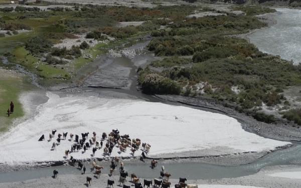 Goats crossing the Wakhan River