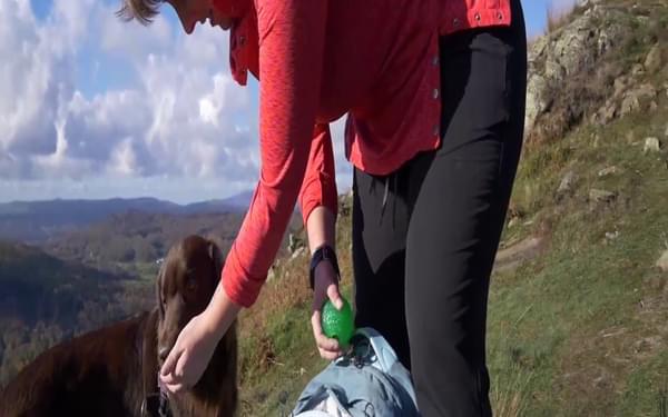 Day Walks Film