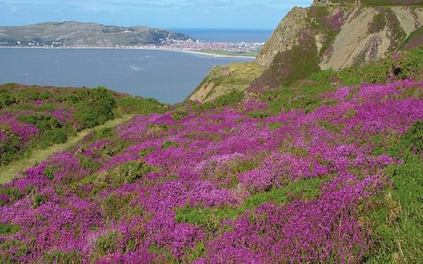 Great Orme and Conwy Mountain