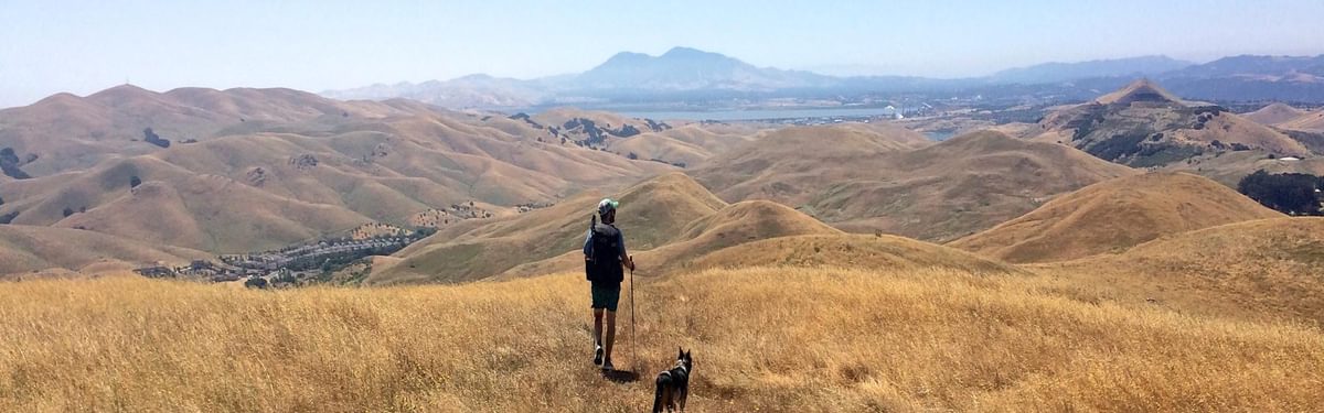 The author imagines he is in Montana on a training hike along the Bay Area Ridge Trail in California.