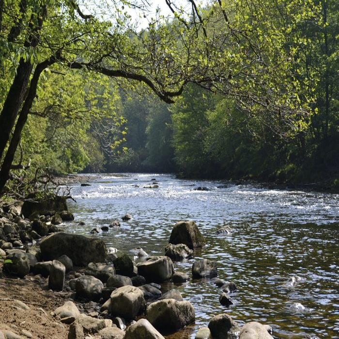 River Ure