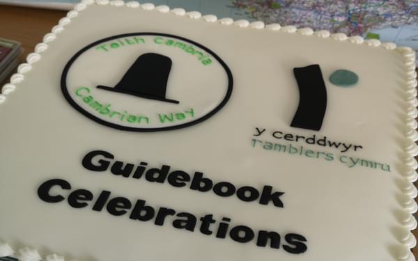 The Cambrian Way cake