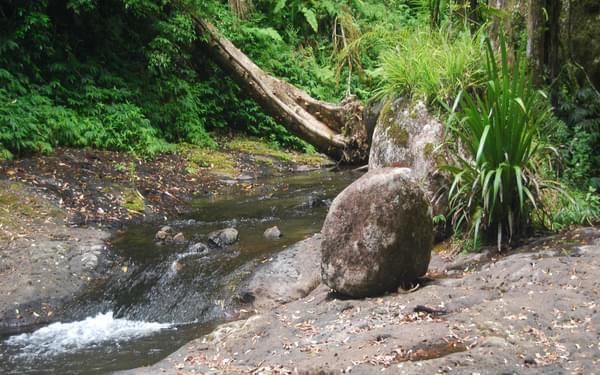 A waterslide on West Canungra Creek, used for one of the trickier creek crossings (the  stepping stones are usually underwater)