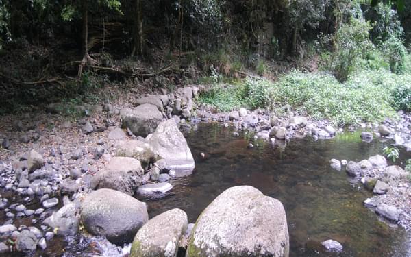 One of the nine creek crossings on the West Canungra Creek circuit, this one ideal for rock- hoppers when the water is low