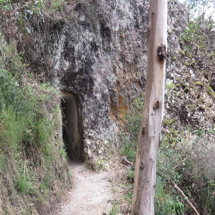The entrance to the tunnel through an outcrop of volcanic breccia near Kweebani cave