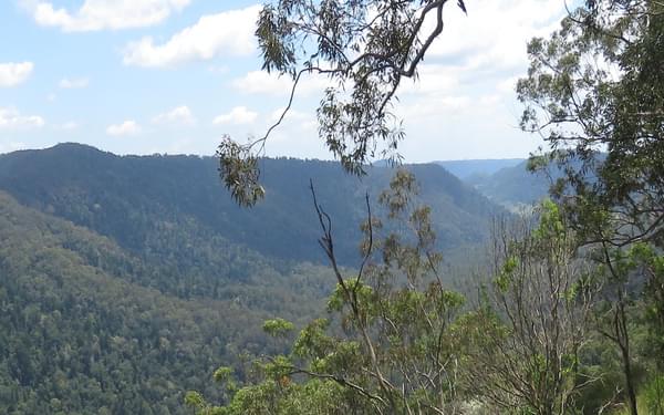 The view across the Coomera River valley to the thickly forested slopes of the Darlington  Range and Mount Tamborine