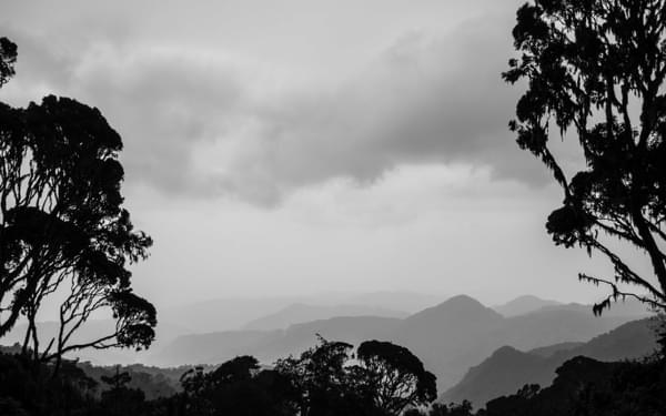 The foothills of the Rwenzori Mountains