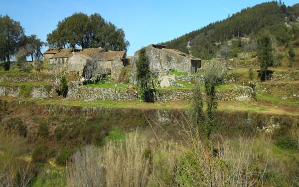 Ruins of the buildings of Barbelota