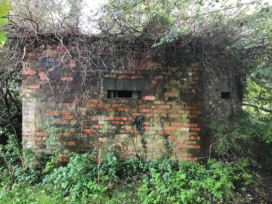 A bunker hidden in the undergrowth at Barcombe Mills