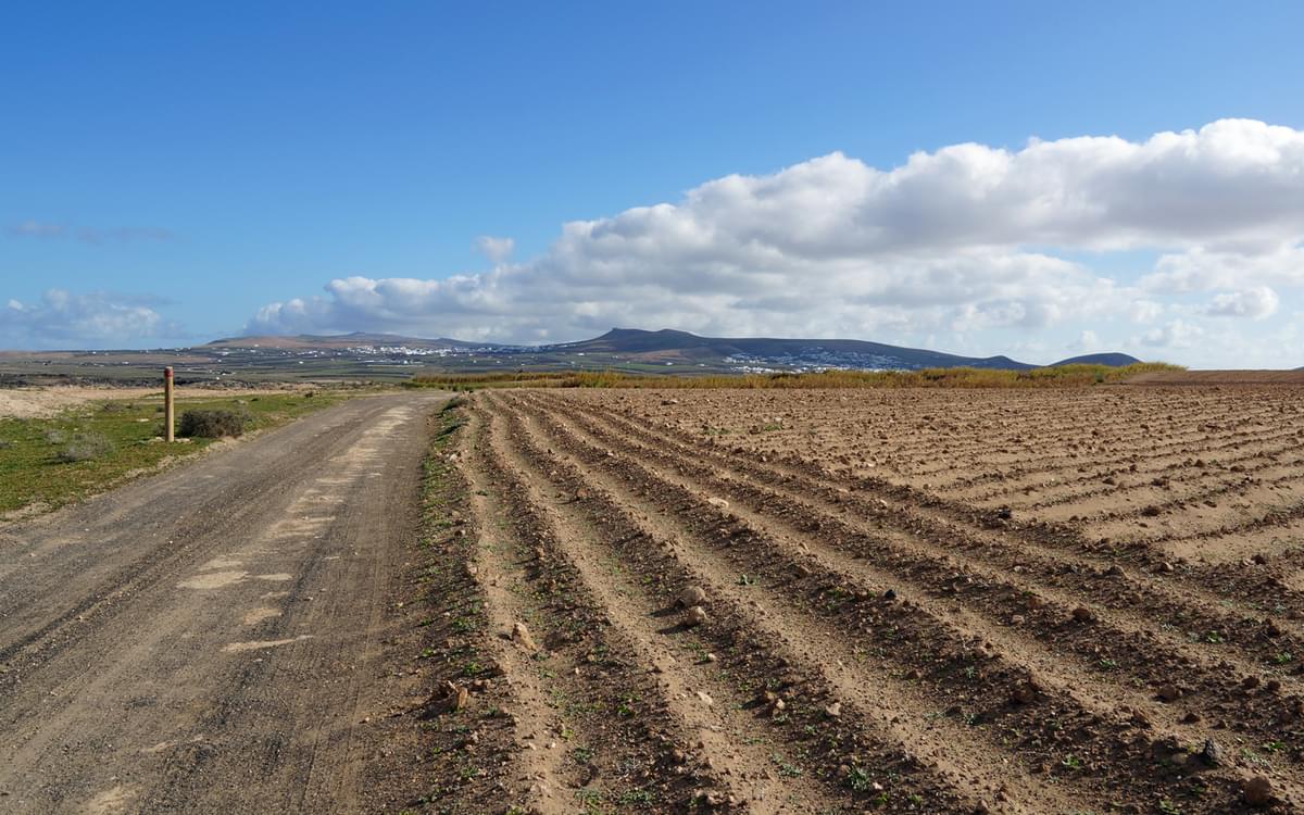 Gr131 Full Rout Trekking the GR31 across the Canary Islands | Cicerone Press