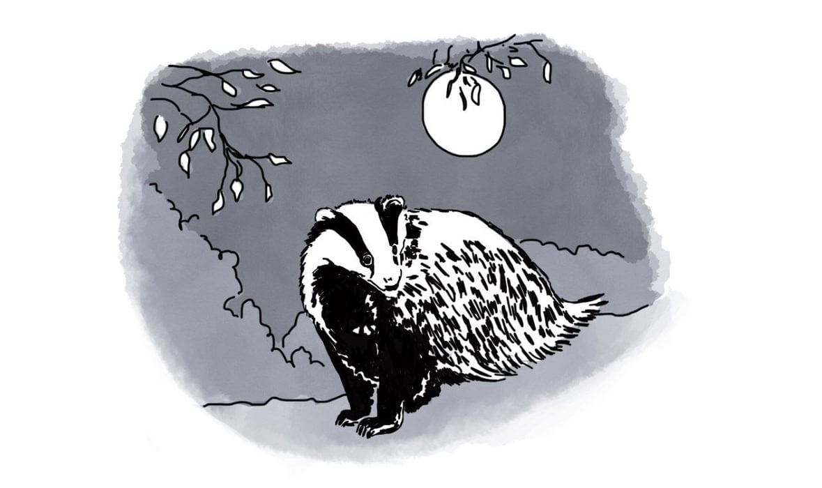 Badger