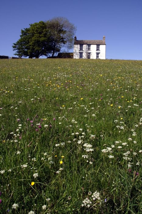 Upper Teesdale