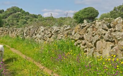 A track in Extremadura